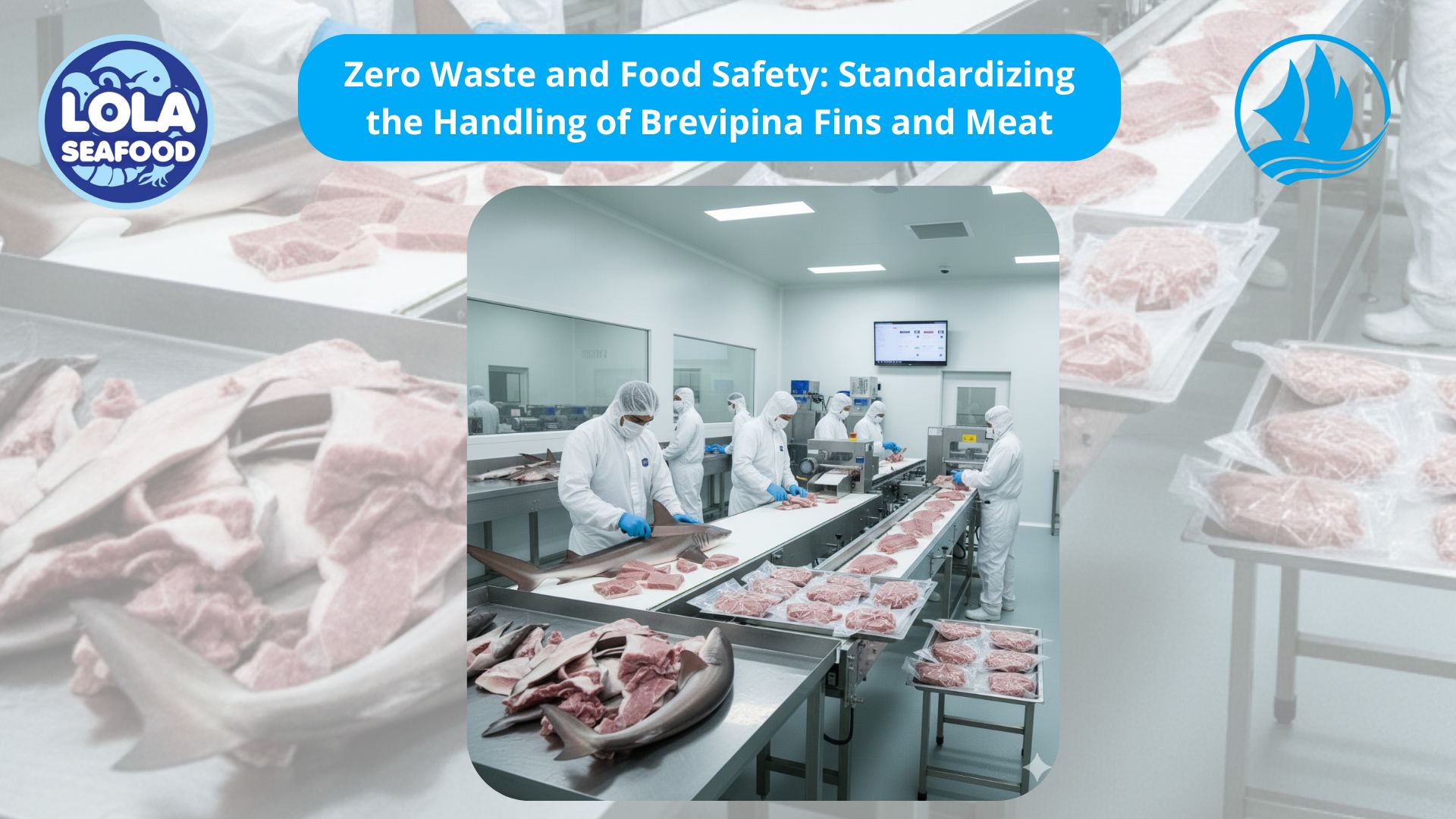 Zero Waste and Food Safety: Standardizing the Handling of Brevipina Fins and Meat